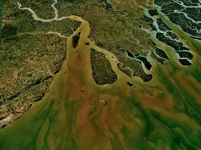 Flood plain of a river seen from above, branches and tributaries meeting the ocean.